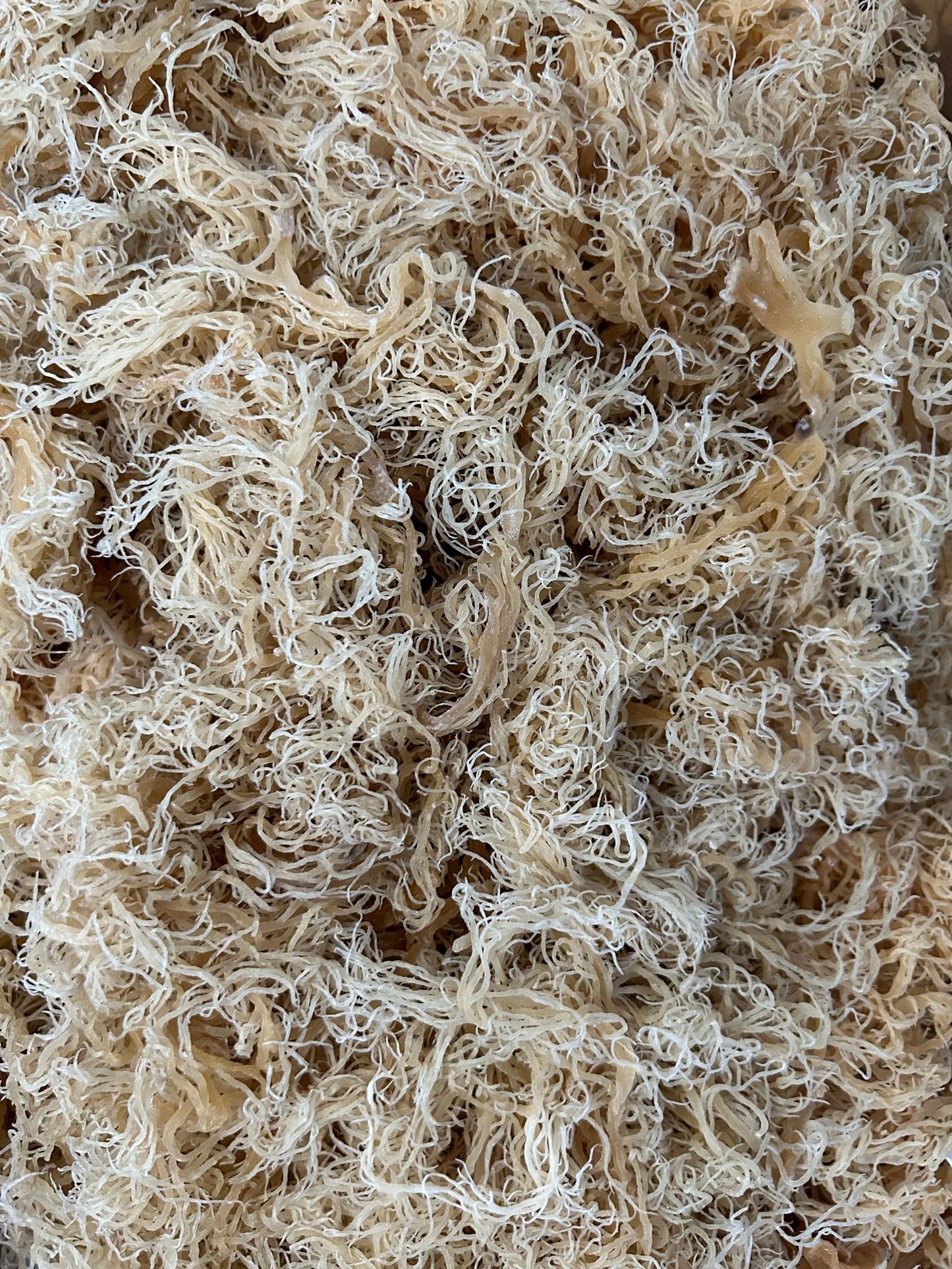 Seamoss St Lucia Sea Moss - 1kg - My Store